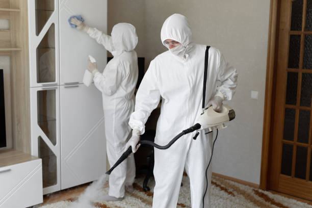 Certified Mold Removal in Dyer, TN