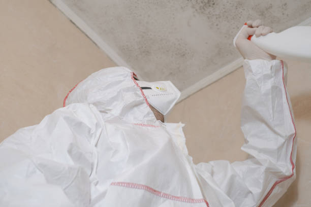 Best Mold Inspection  in Dyer, TN